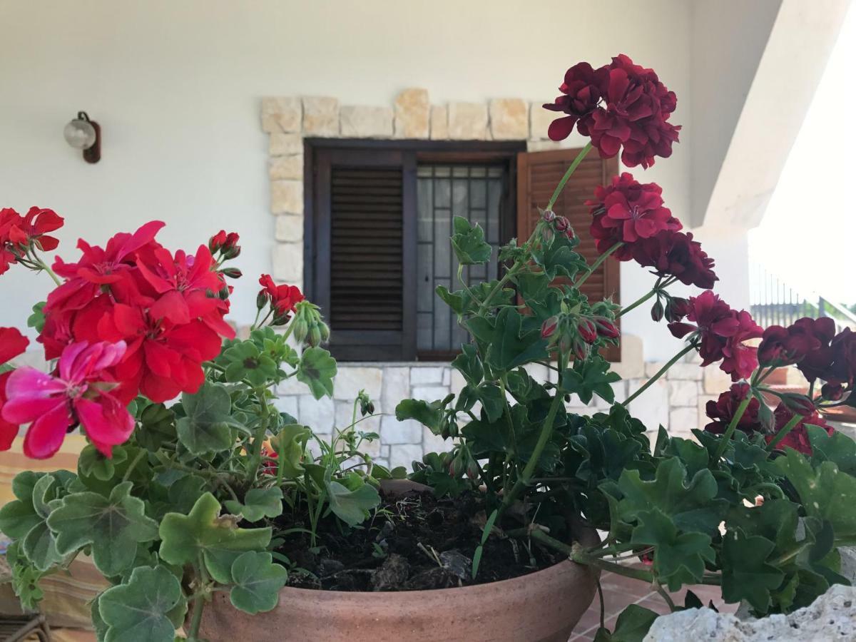 ברוקולי Villa Rosa - Ai Piedi Dell'Etna מראה חיצוני תמונה